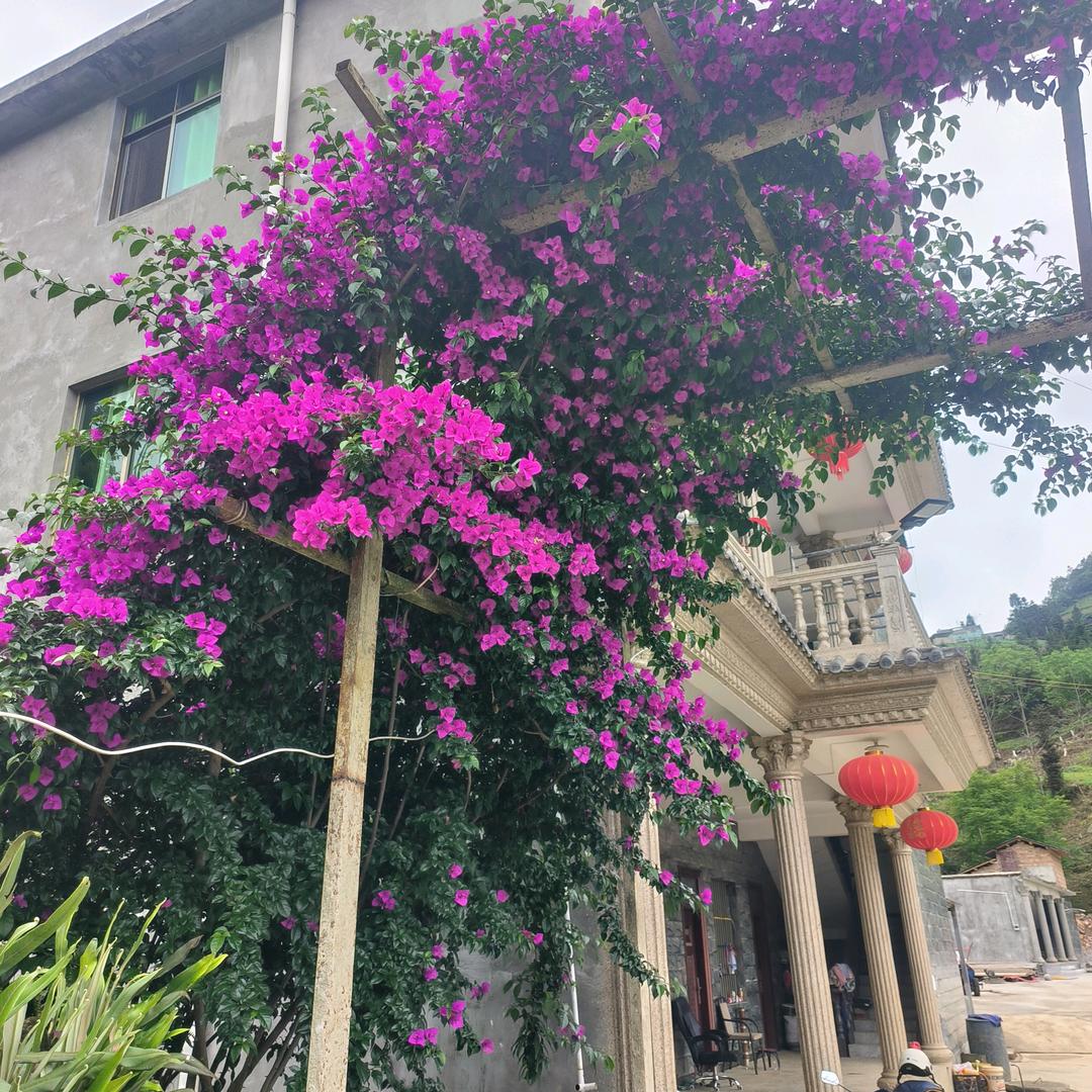 走遍天涯