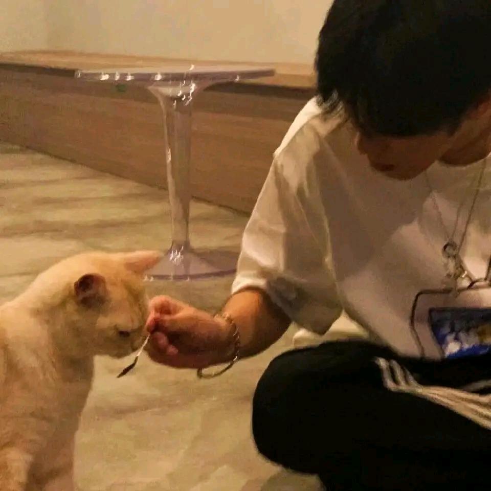 翱