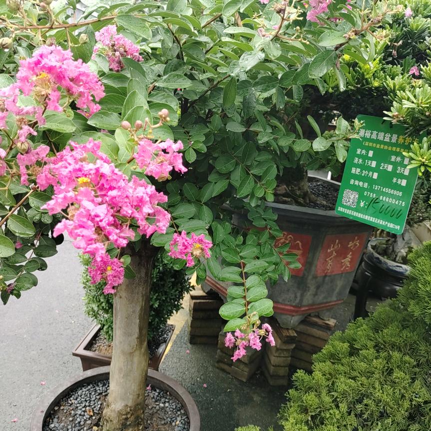 梦牵绕了谁的灵魂梦牵绕了谁的灵魂