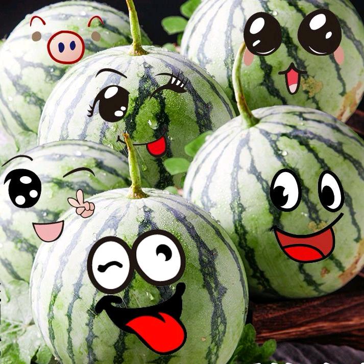 柒柒