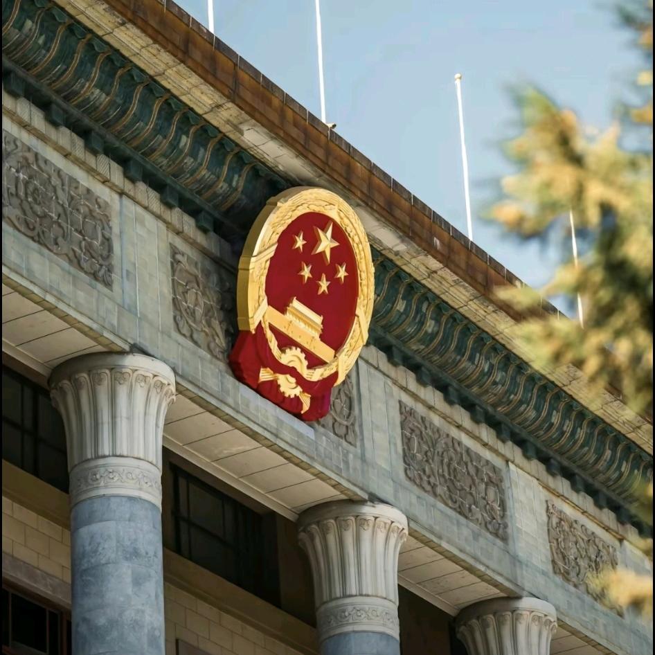 罗双🇵🇸🇨🇳（持续打怪升级中）