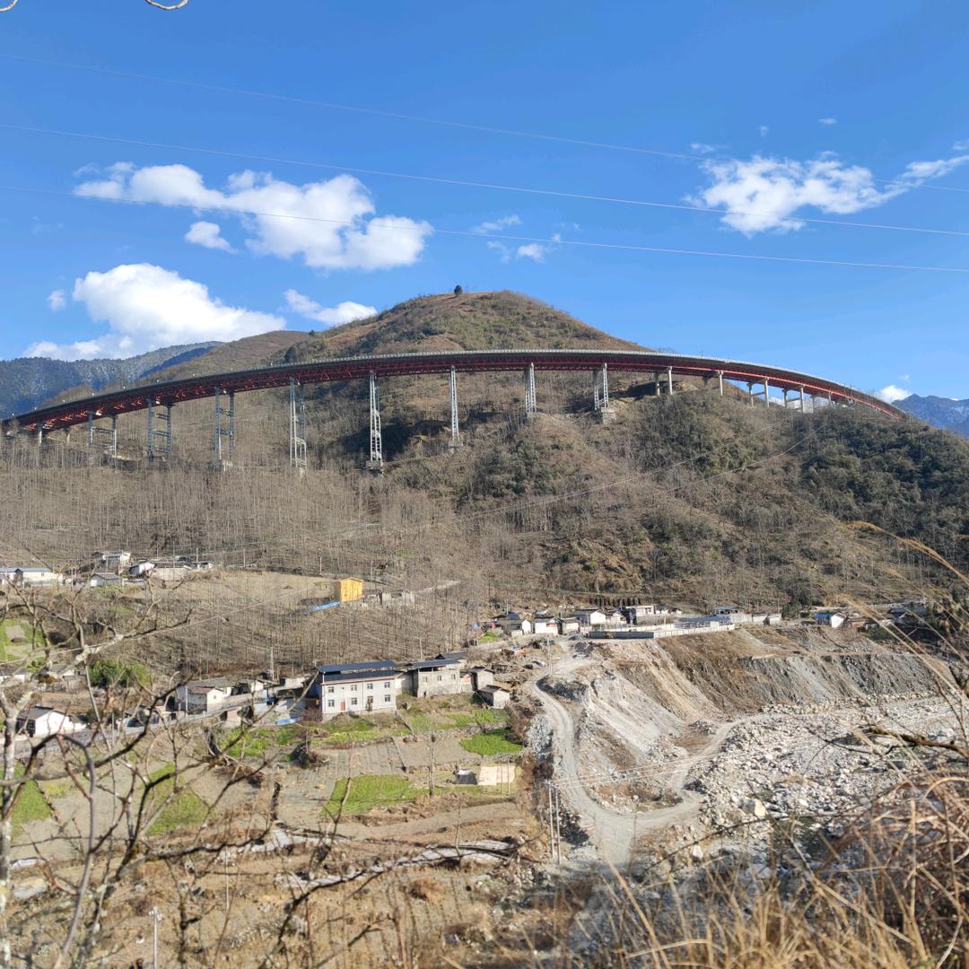 清茶先生的分享