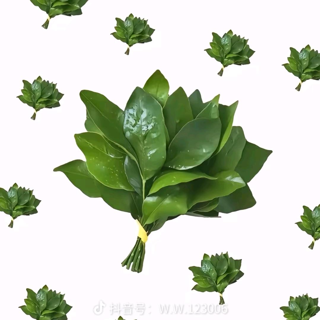 嘿嘿