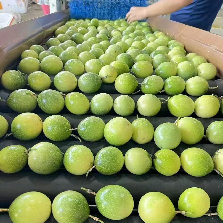 宏展食用农产品小铺