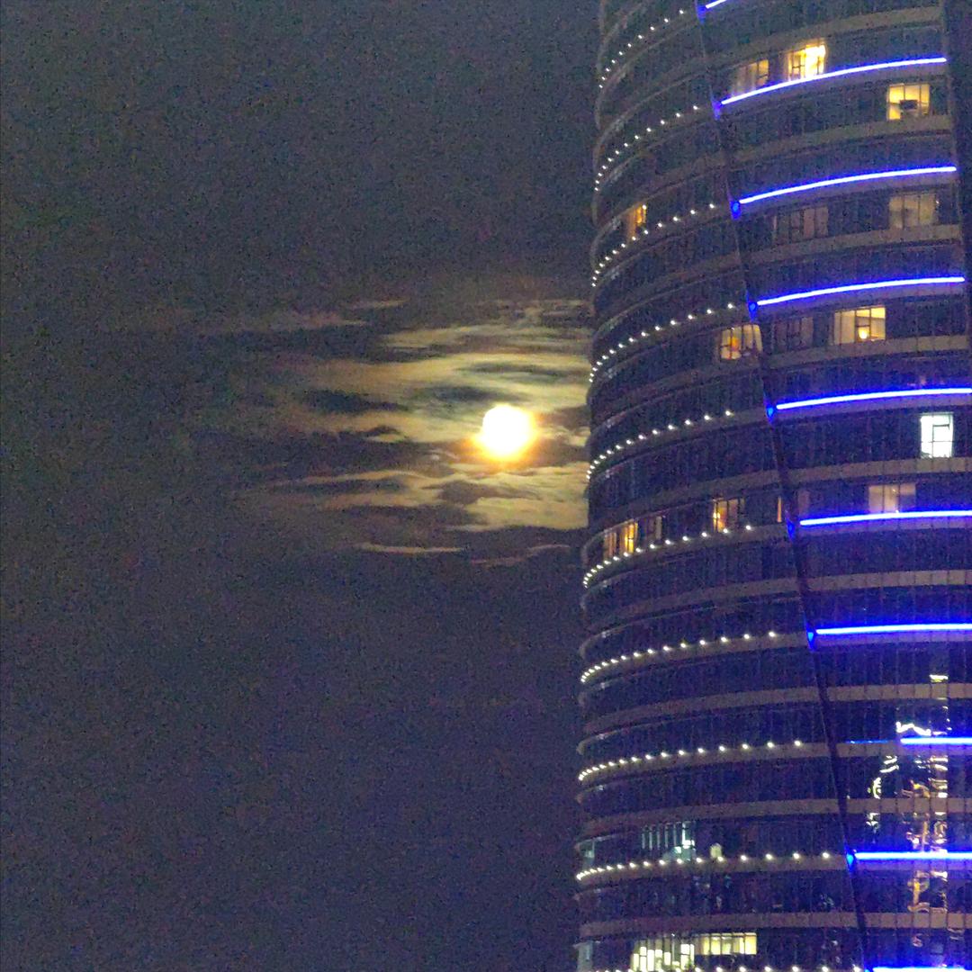 陈心如意
