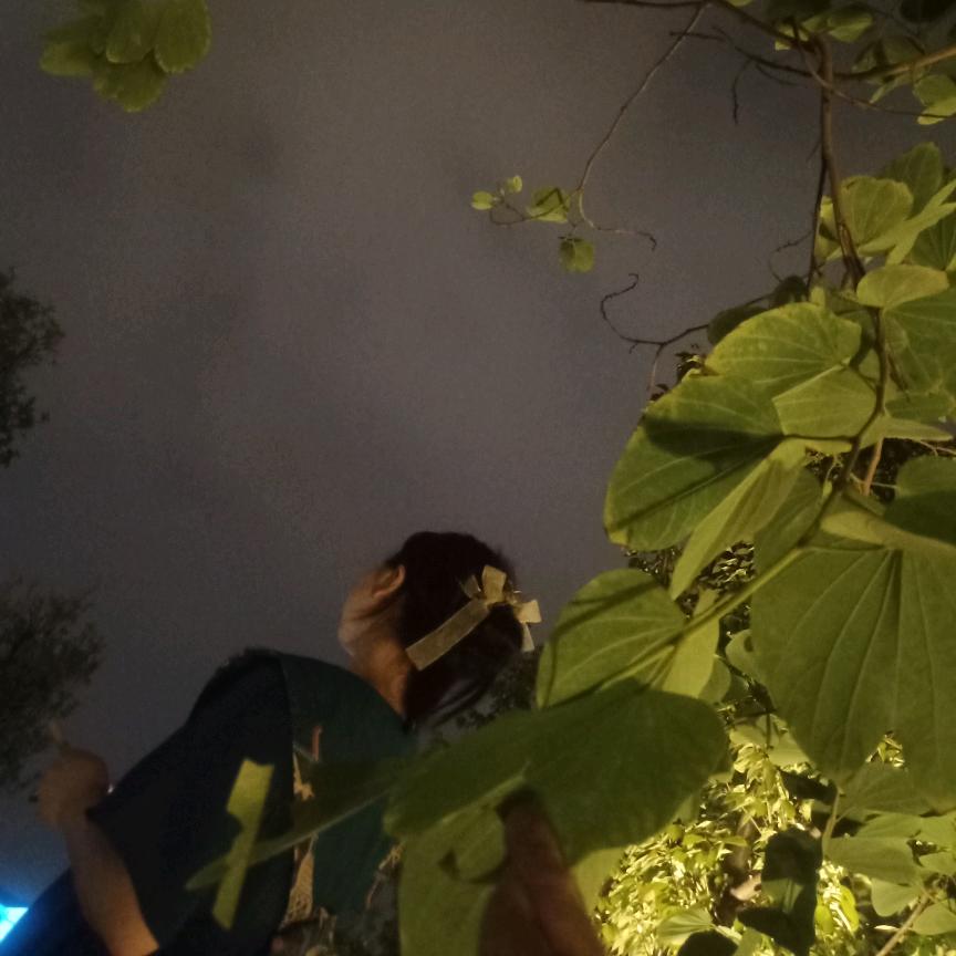 ♡桃籽♡