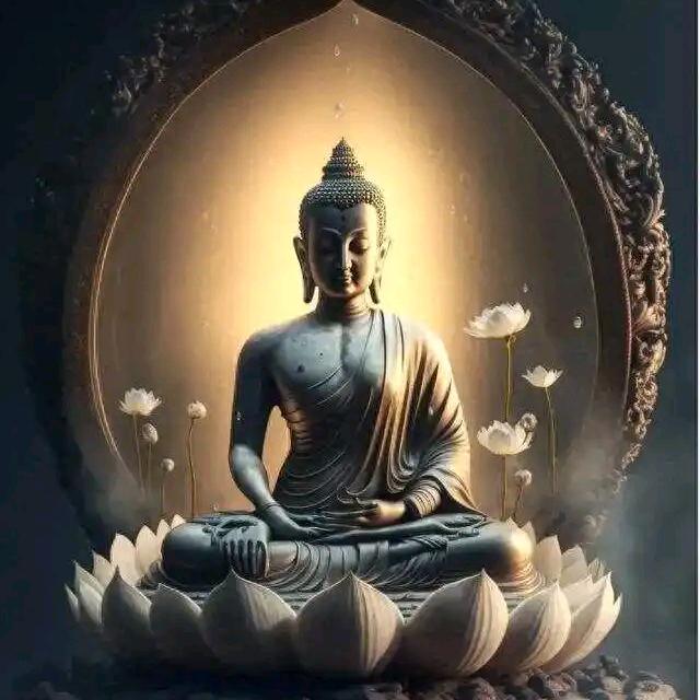 💖双双💖菩提行愿