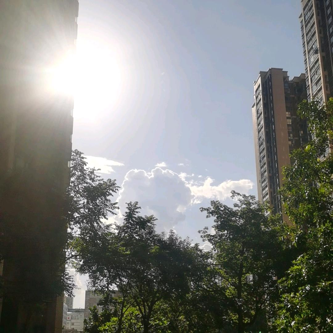 杨瑞花