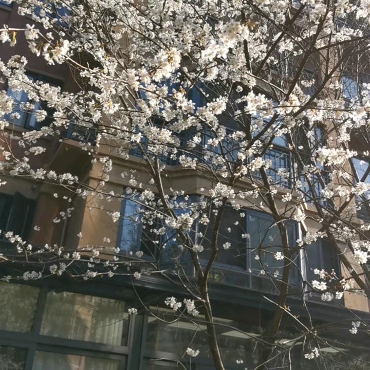 &小沭沭