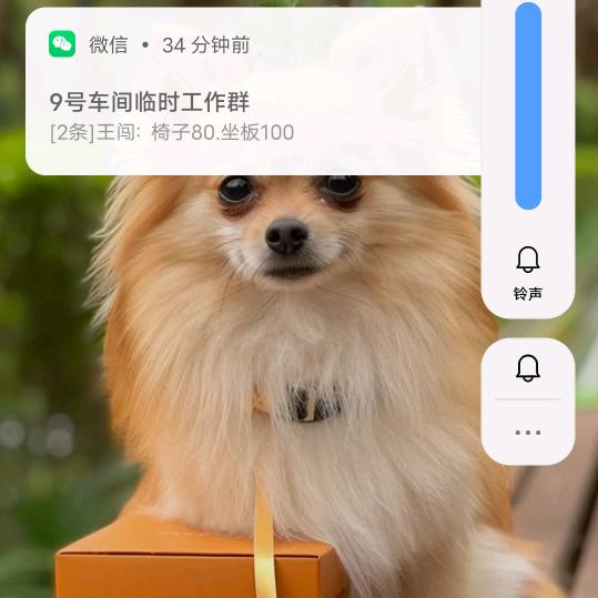 小龙123