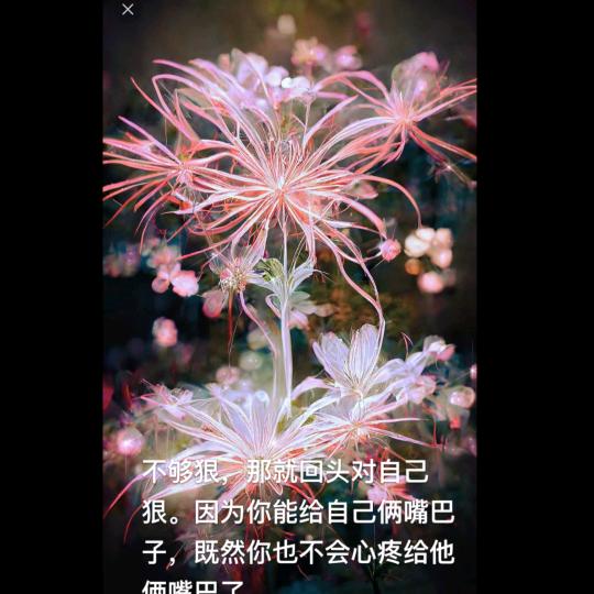 彼岸相思