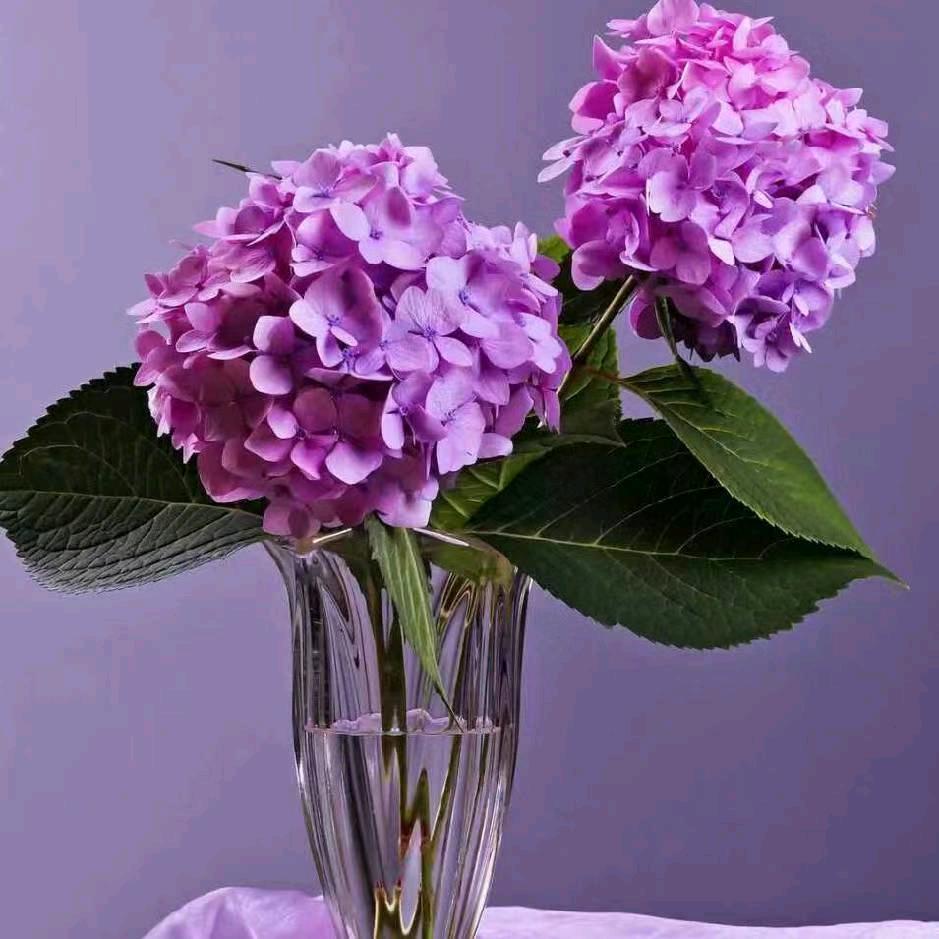 雨鑫 (=^▽^=)宝贝儿