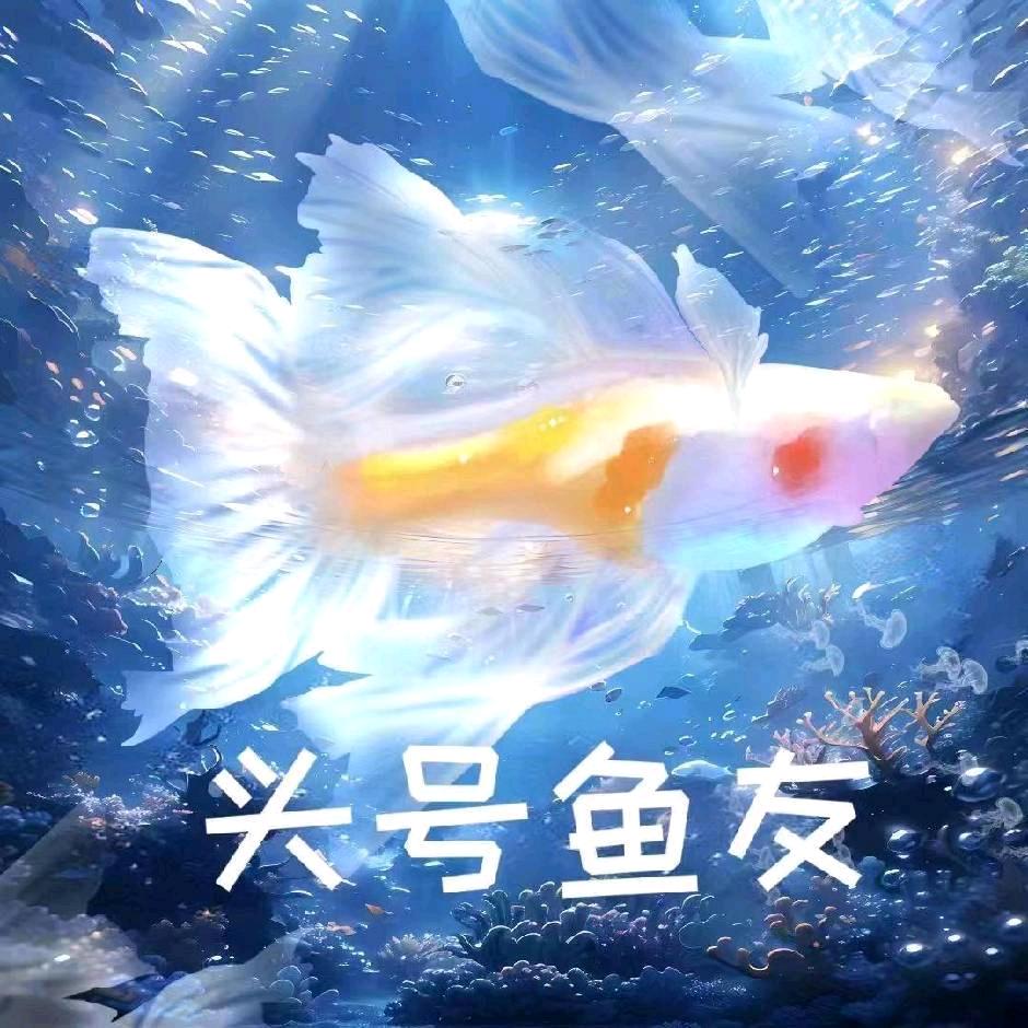 头号鱼友