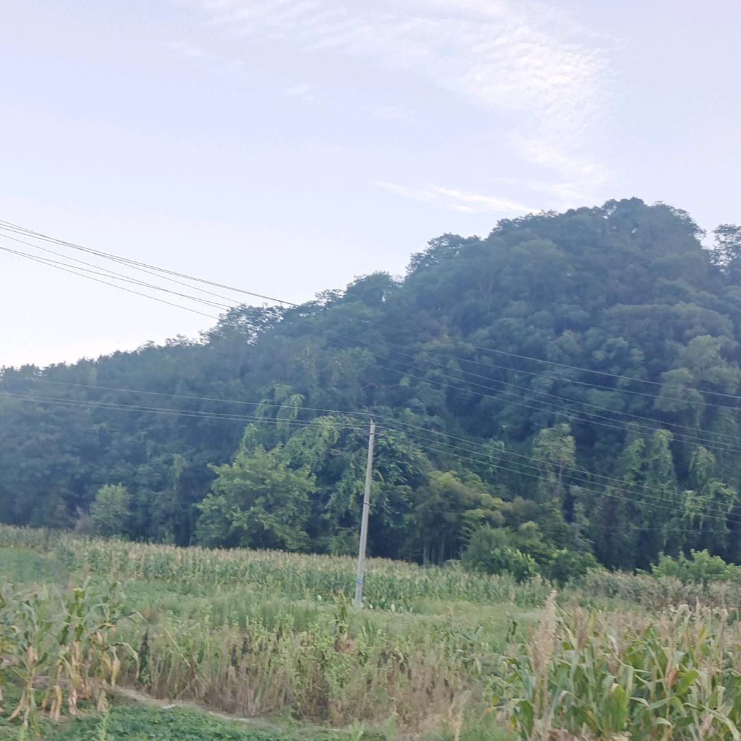 穷老百姓，80后