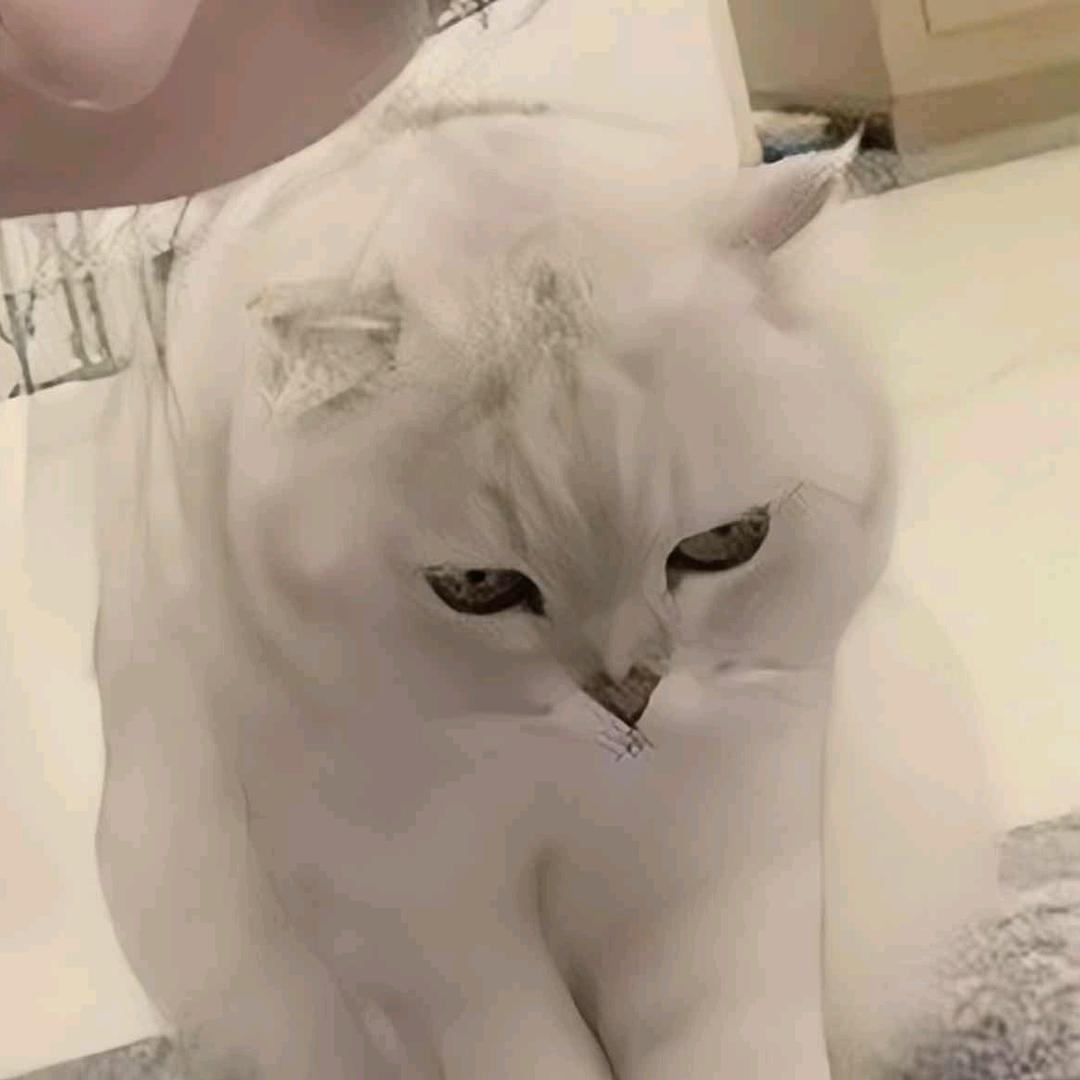 花奏夜