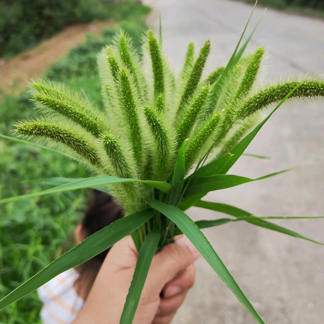时来运转好运连连
