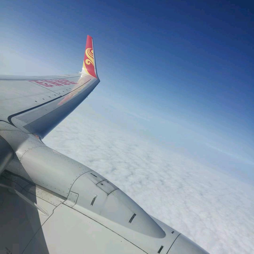 不爱喝啤酒