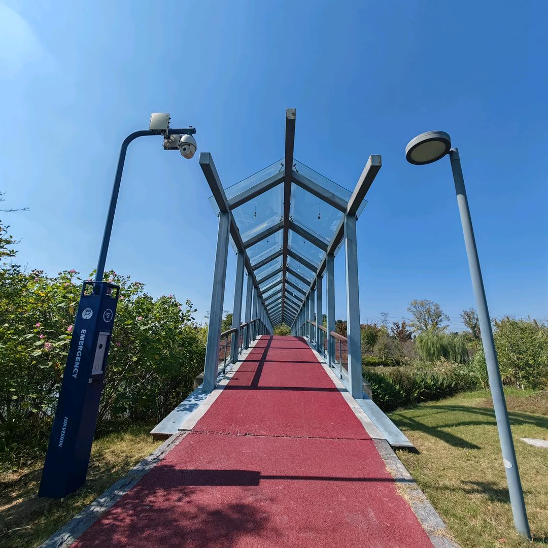 矮油