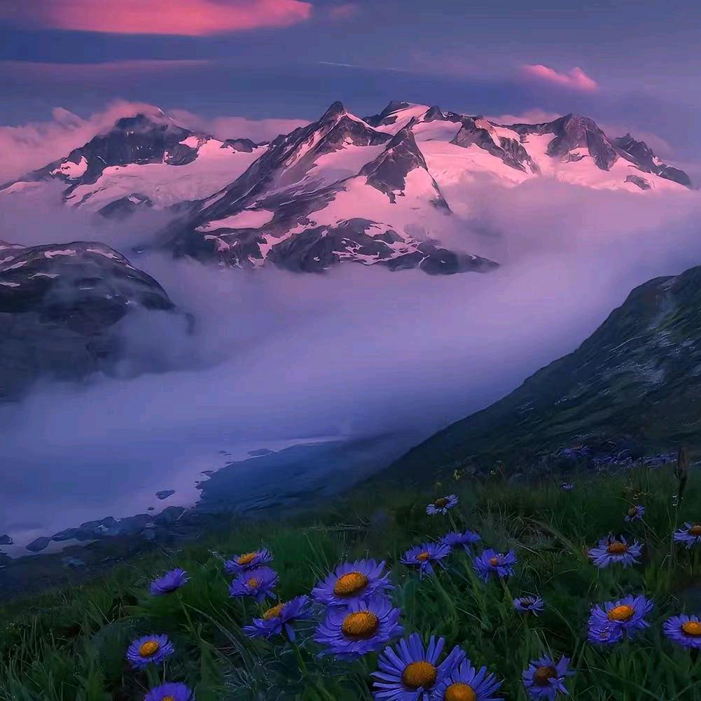 六六零三¹⁹¹⁵༗