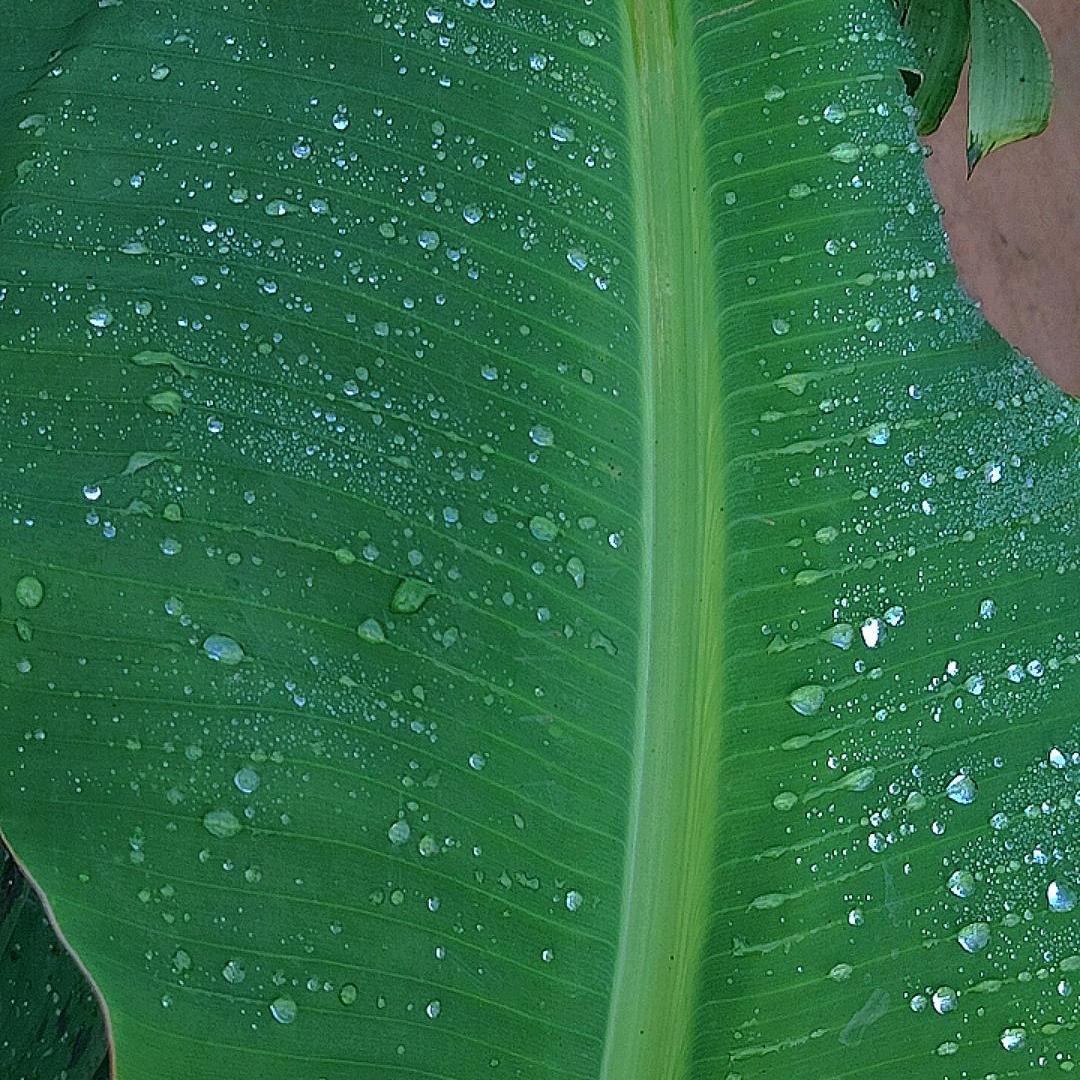 🦋꧁💞愛情路上有你💞᪲꧂?