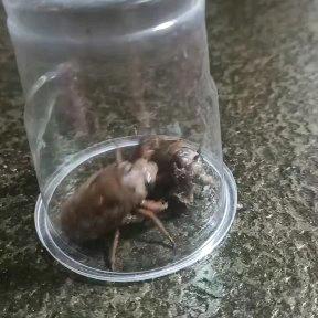 有些爱深藏