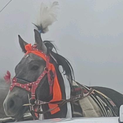 ༼གངས་འཕྲུག་༽