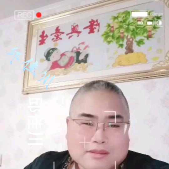 【黑松】种植与养护（老邱）