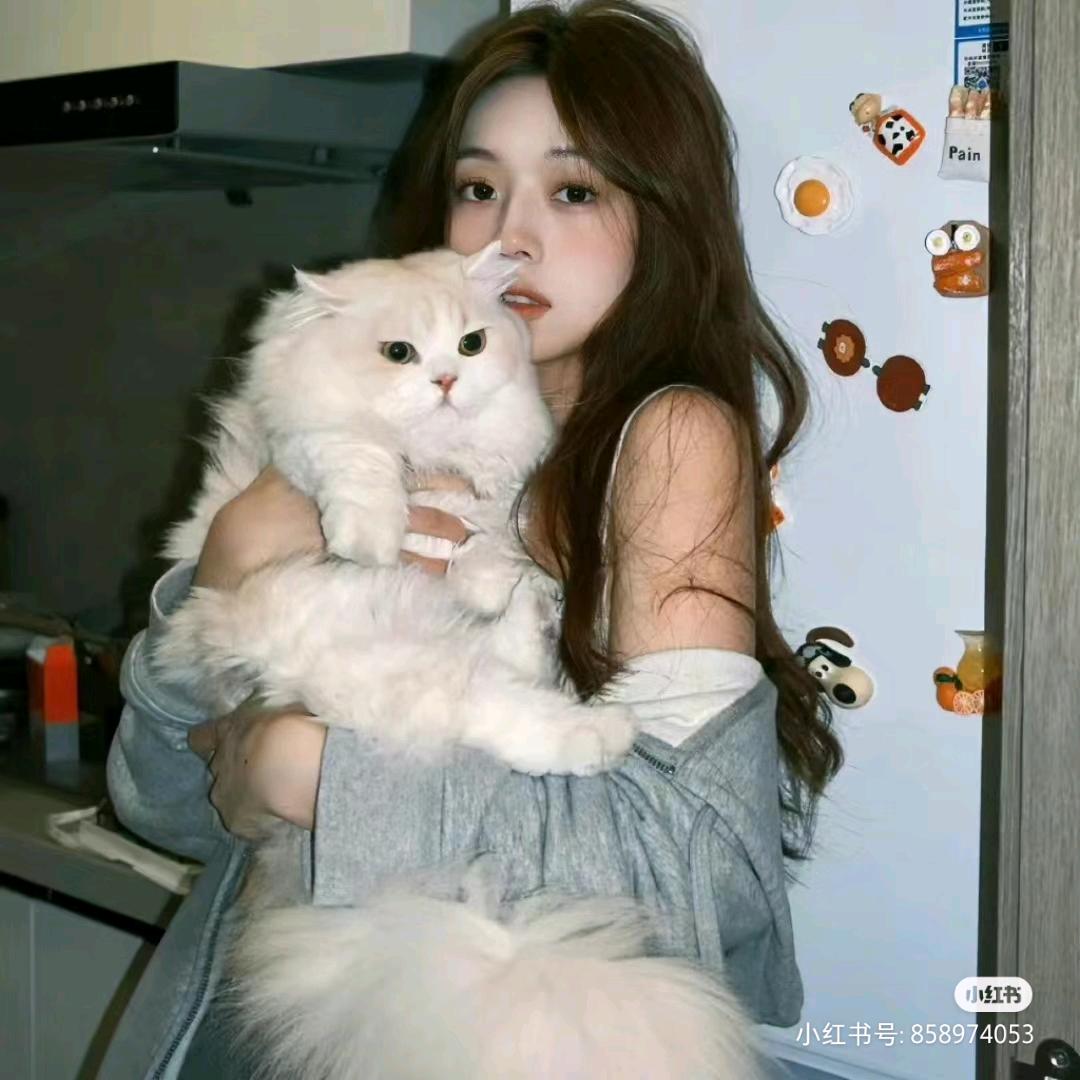 신문