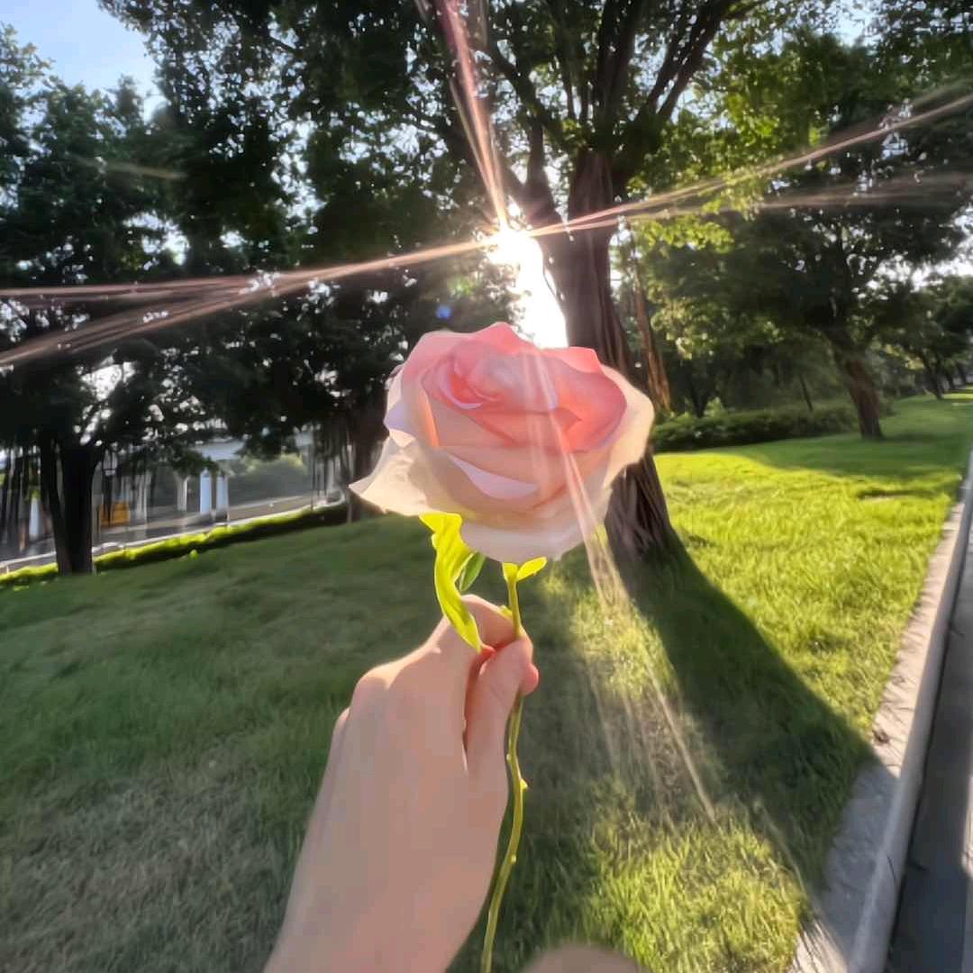 𝓼𝓽𝓪𝓻𝓼