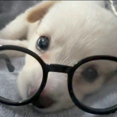 ʚ⁺₊ 咪兔 ₊⁺ɞ🍂