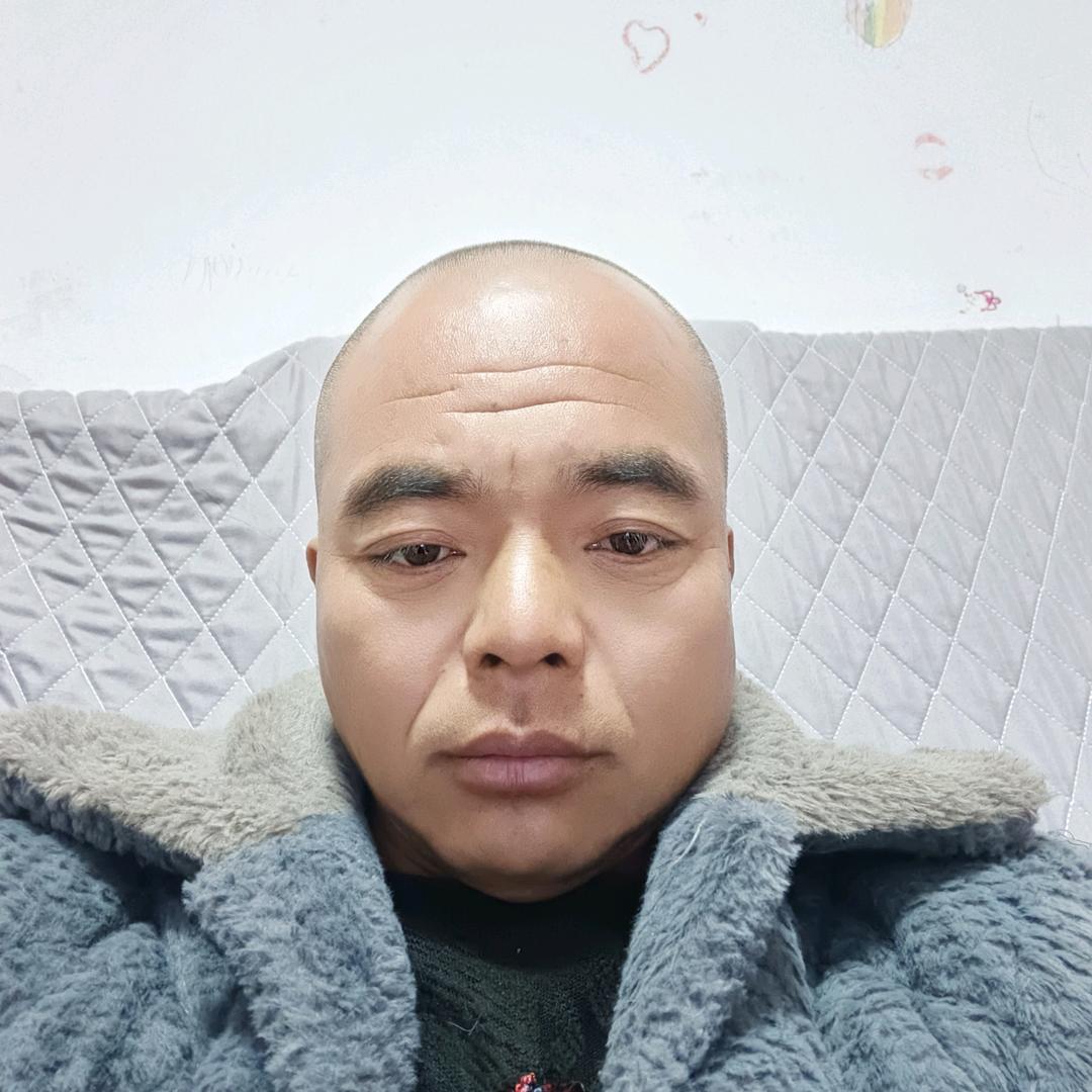 光头阿利