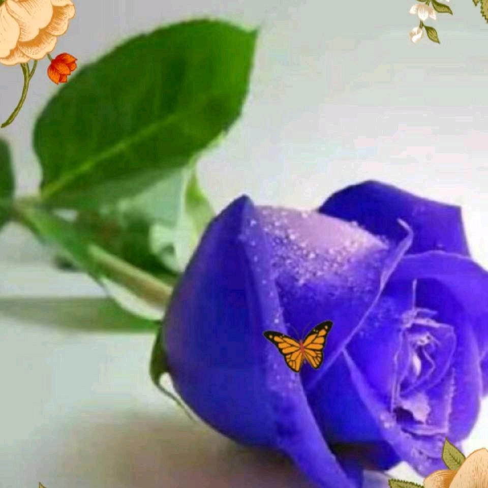 春暖花开
