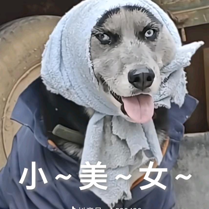 এ大叔ꦿ໊ོ༊¹²⁸🌻