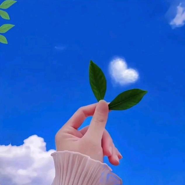 ℋღ᭄芳ღ᭄ℳ