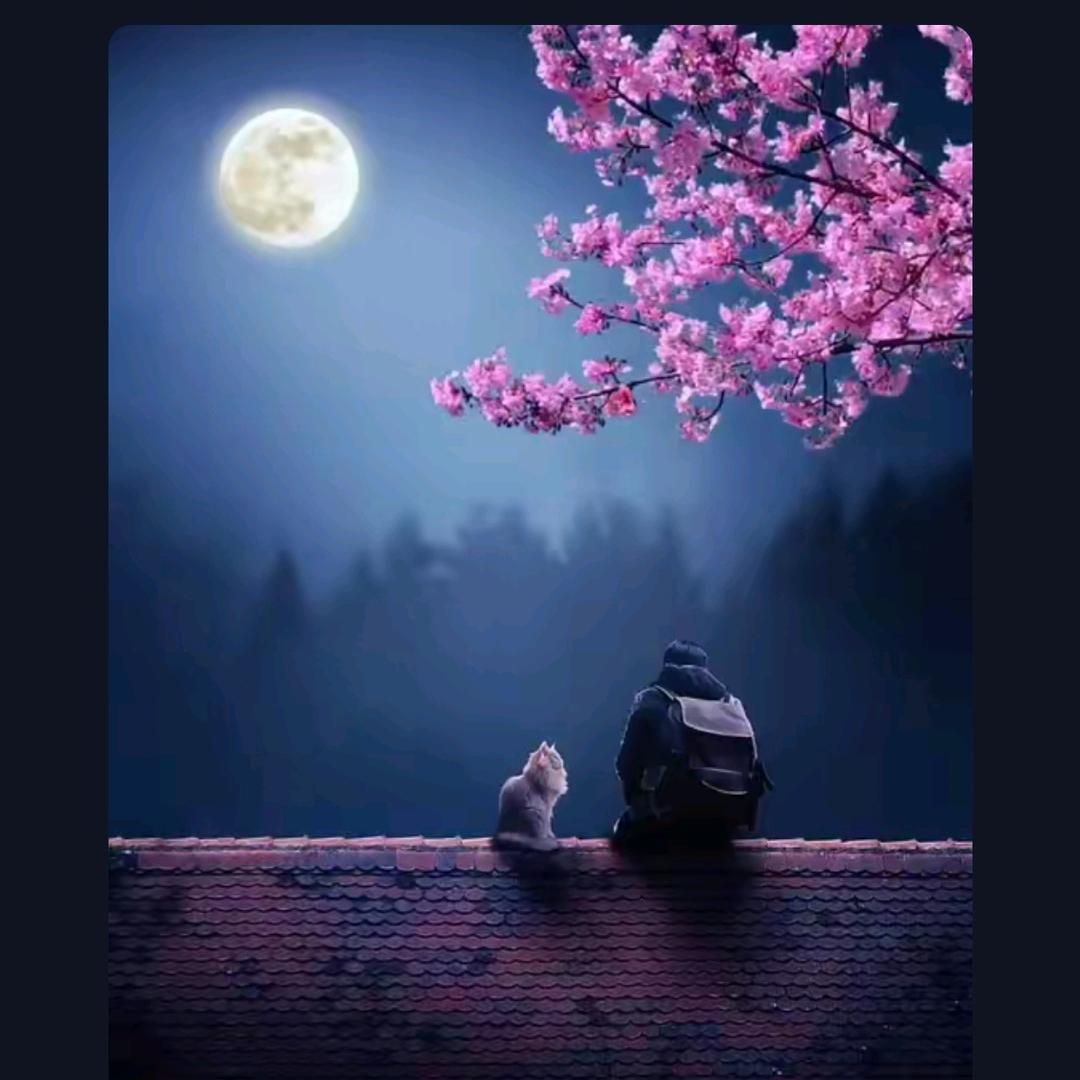 @拾贰@