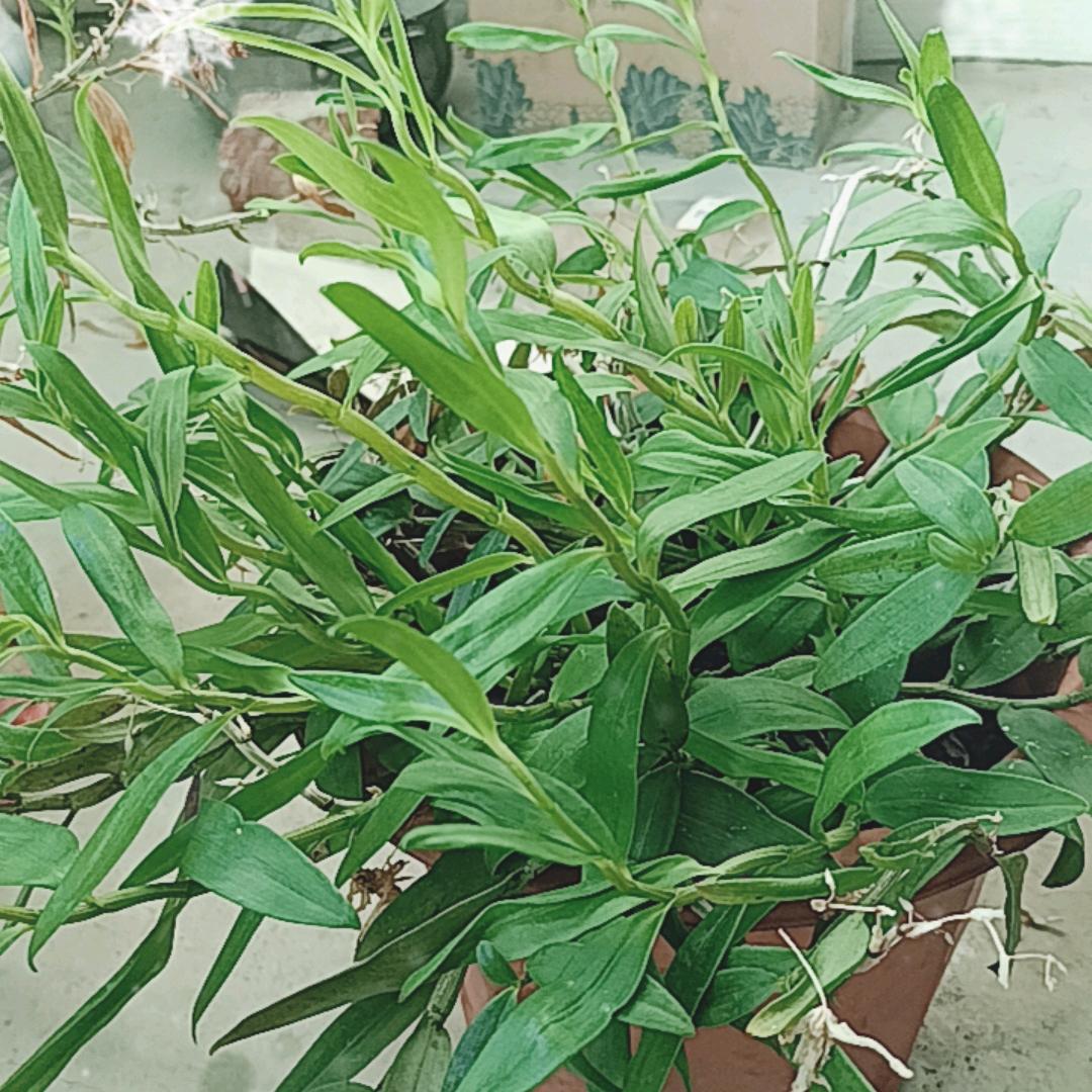 感动天感动地怎么感动不了你