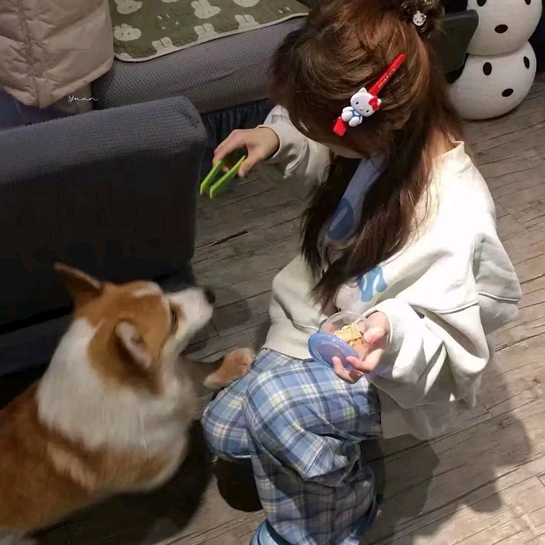 绝版盖浇饭