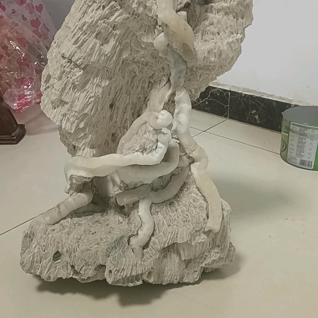 秋叶晨星！
