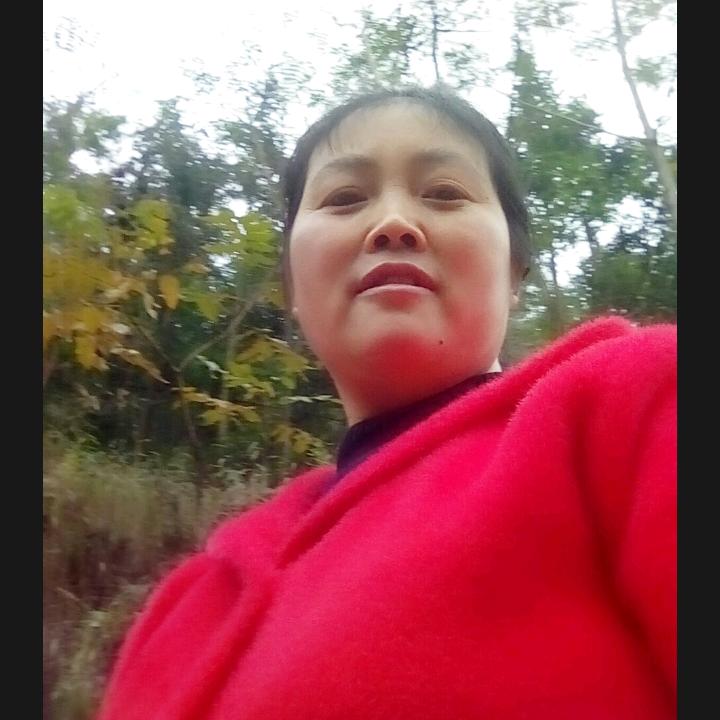 何七妹