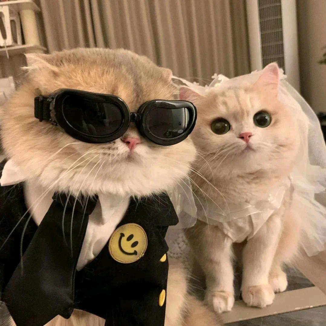 ☞全国下自配，一店多开