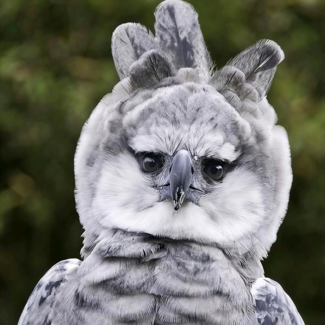 户外战神（分享经验）