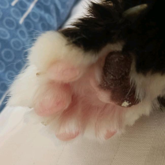 四合不住四合院