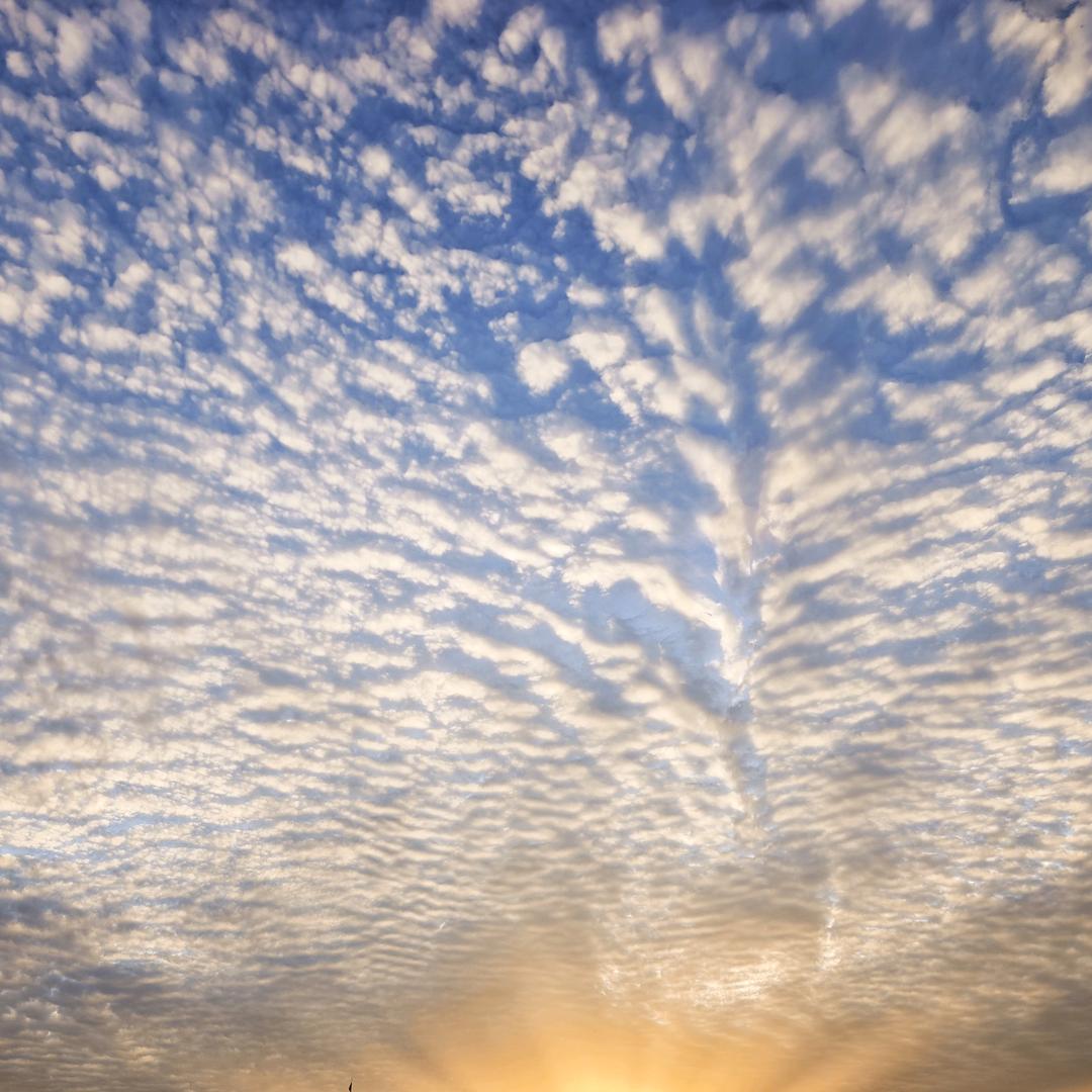 浮 生若夢万般 雲