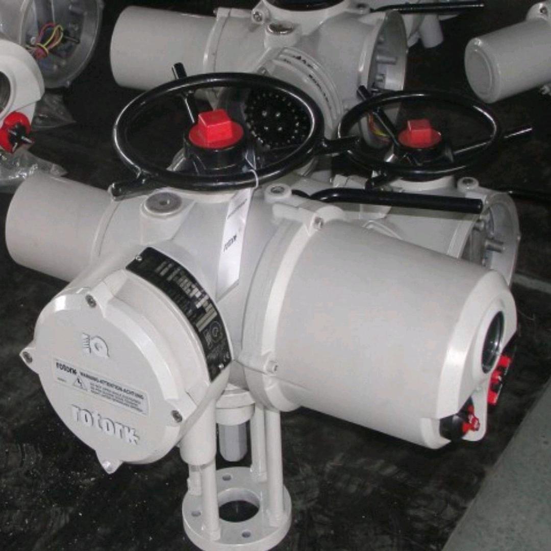 李@罗托克（rotork）🇨🇳