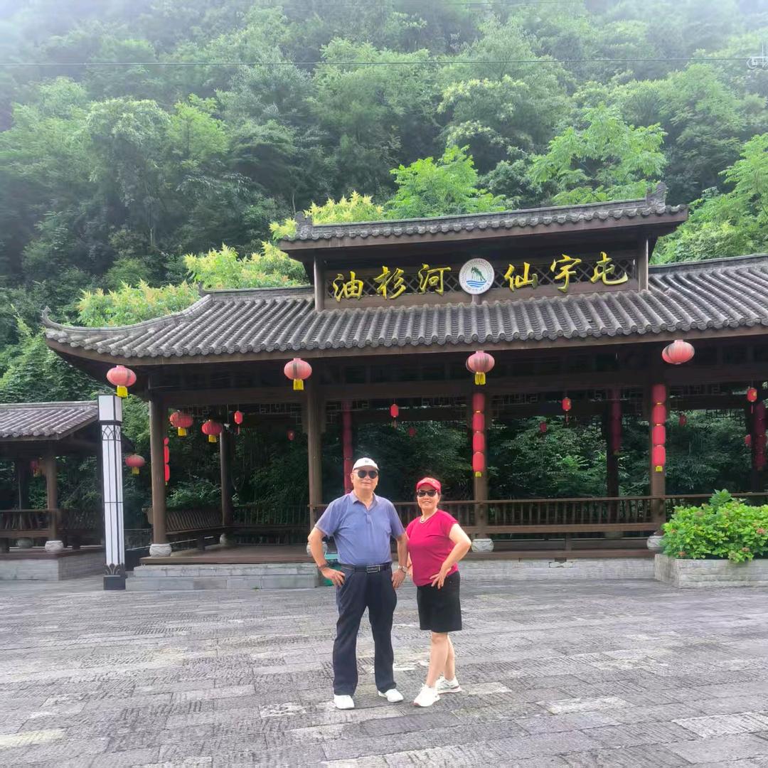 郁金香