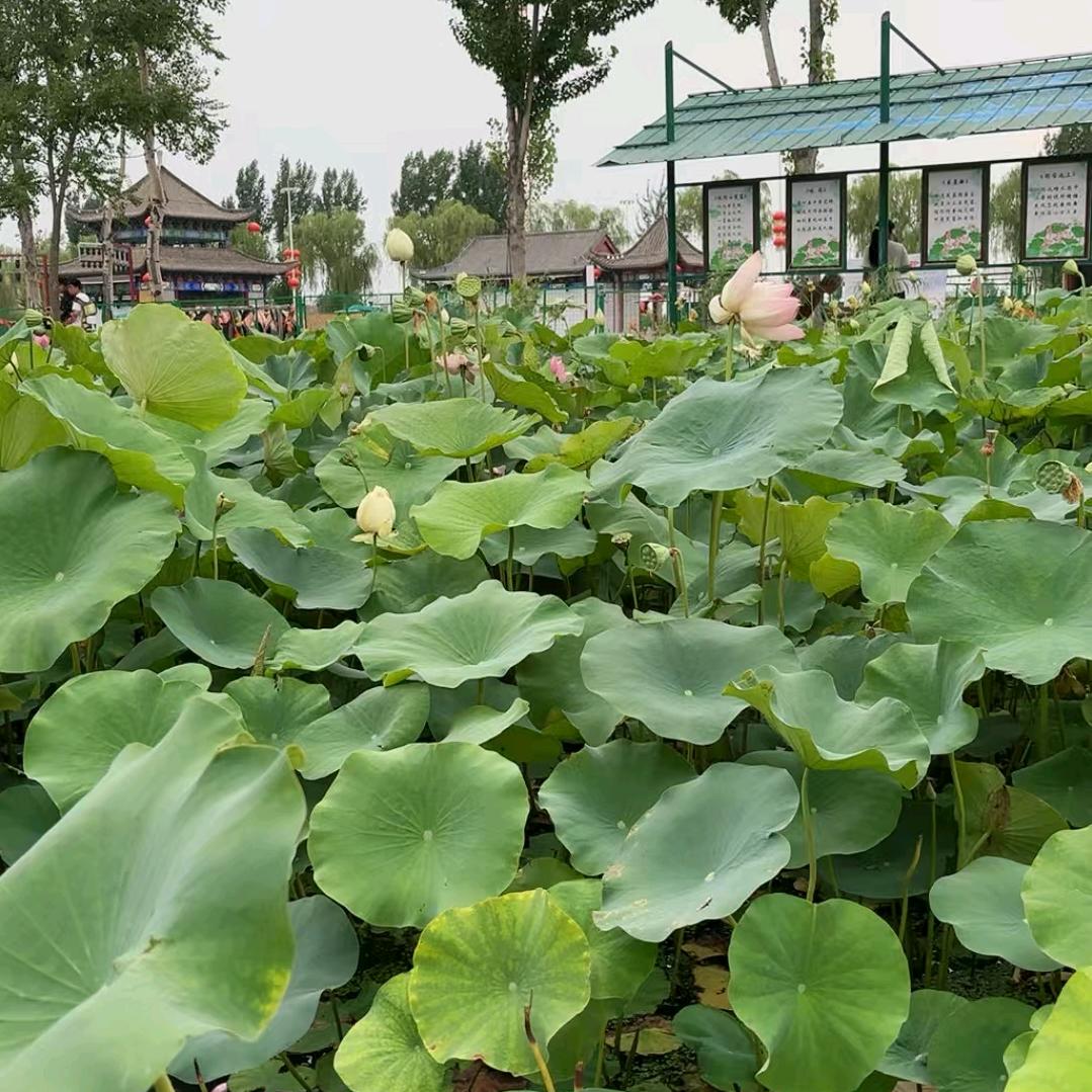 @承接各种家装工装室内装修