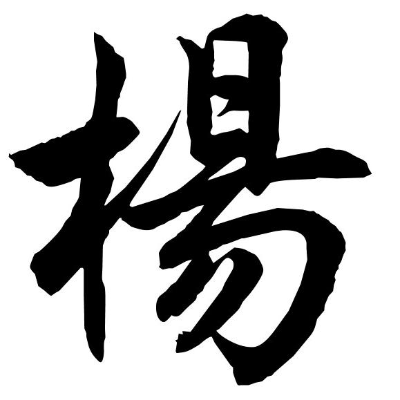 楊哥说车
