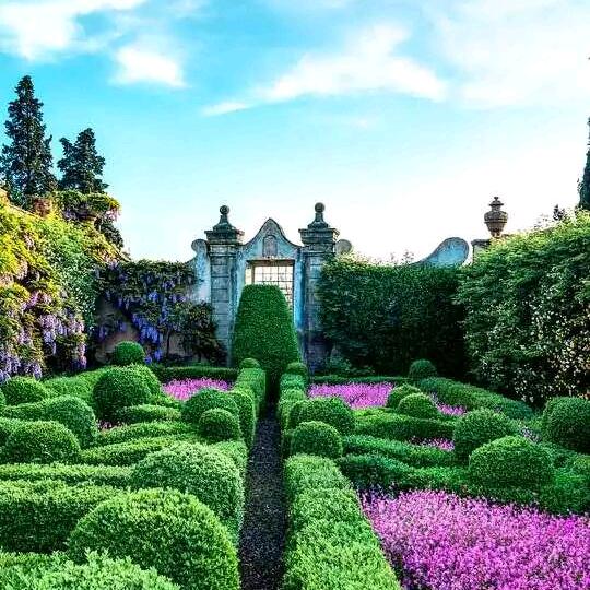 歌曼丽草本减重（大连总店）