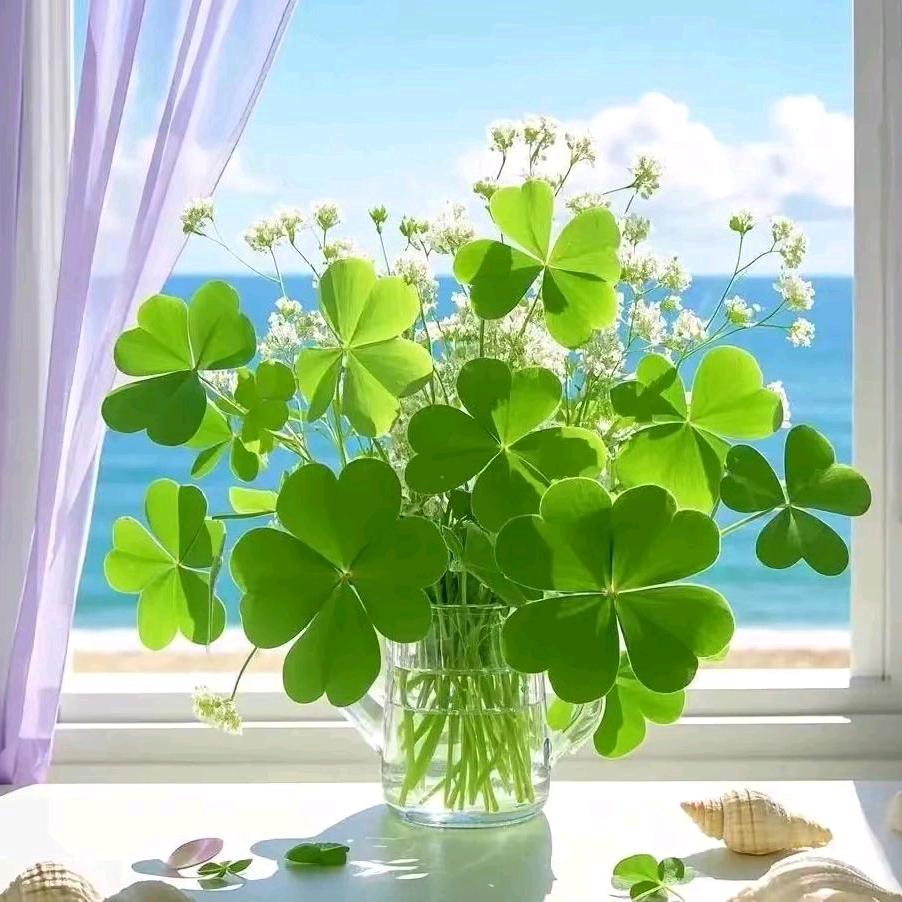 🦋ꦿ໊余生᭄🕊随心᭄ꦿᩚ٭?