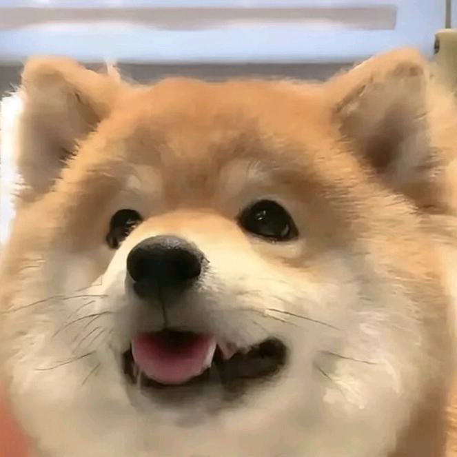六酱～